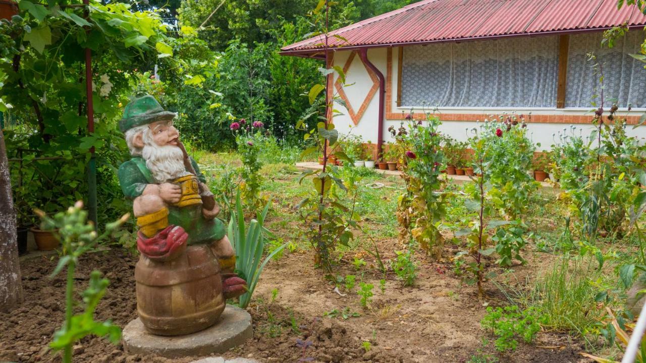 Вілла Casa Din Gradina Ефоріє-Суд Екстер'єр фото