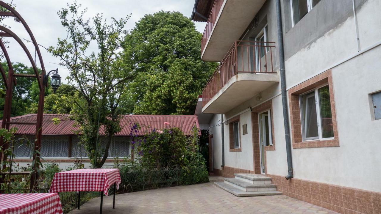 Вілла Casa Din Gradina Ефоріє-Суд Екстер'єр фото