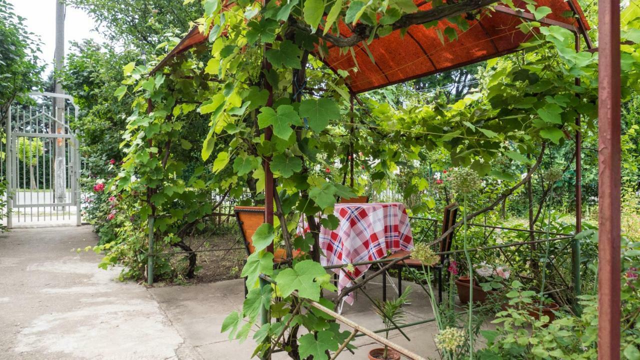 Вілла Casa Din Gradina Ефоріє-Суд Екстер'єр фото